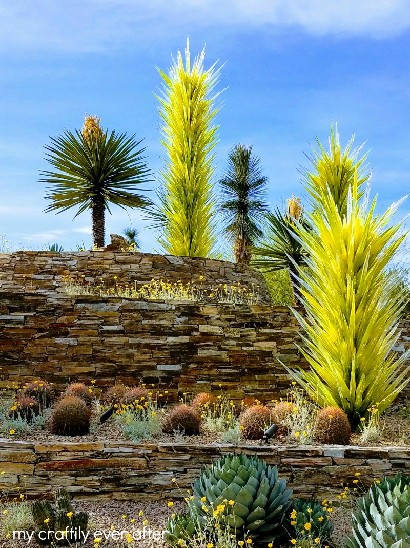 Explore Phoenix Desert Botanical Gardens My Craftily Ever After