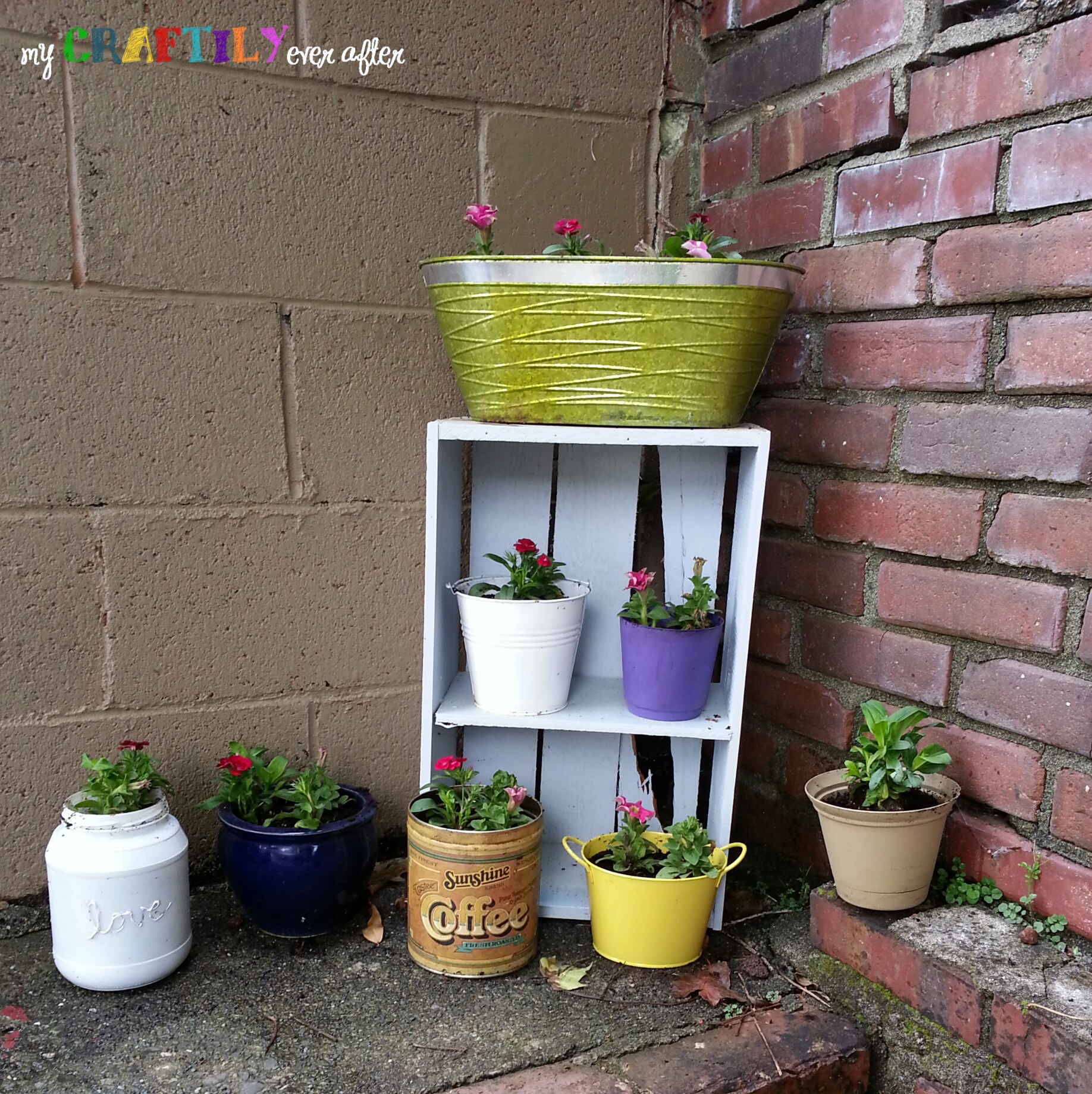 container gardening with miracle gro