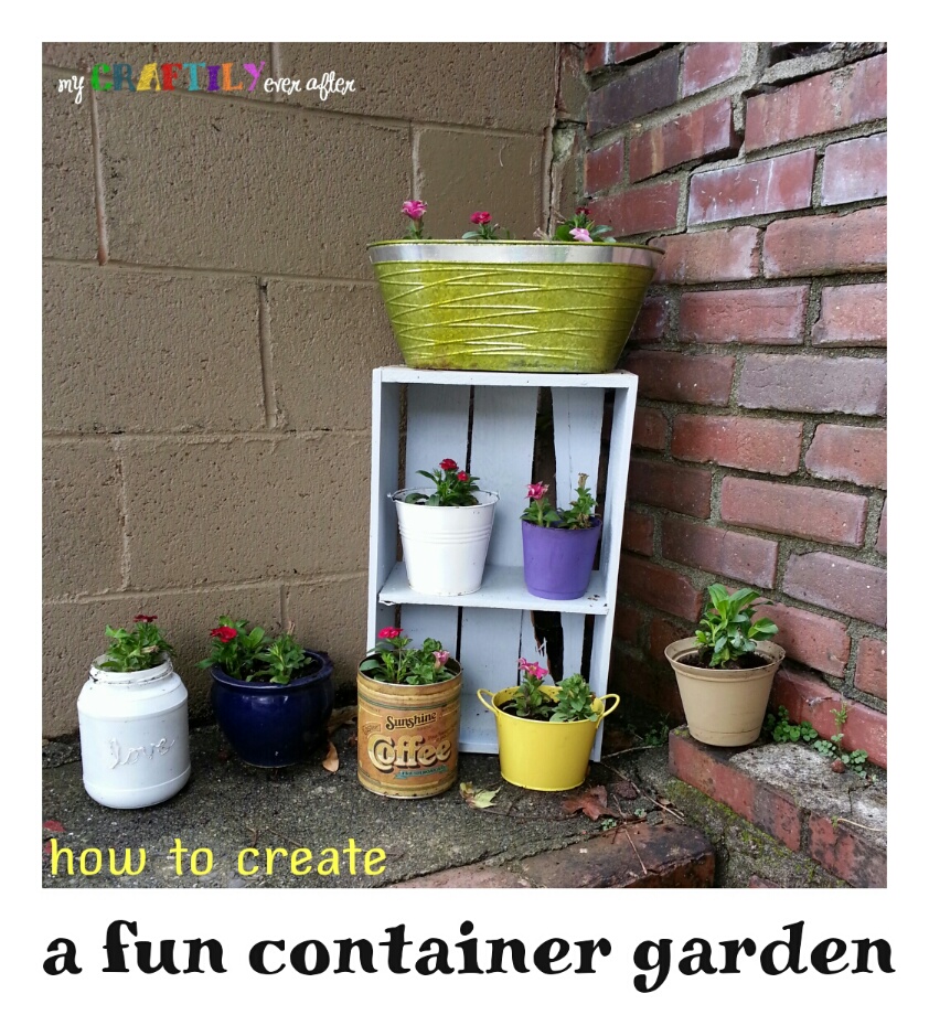 creating a container garden with miracle gro