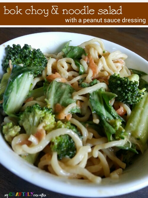 bok choy and noodle salad with peanut sauce dressing