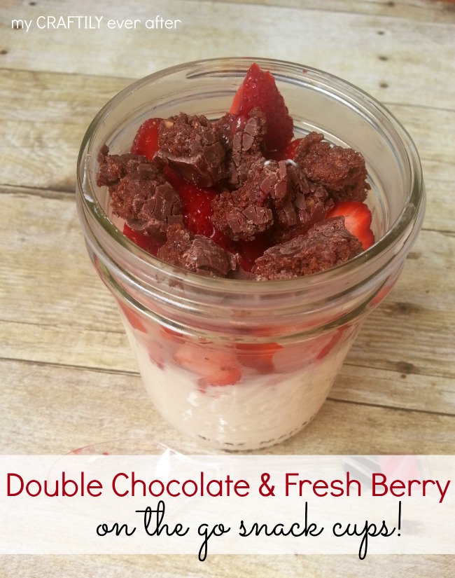 Double chocolate & fresh berry on the go snack cups! Perfect for busy summer days! #shop #barnutrition