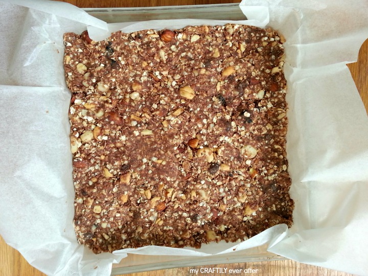 dove chocolate covered fruit granola bars