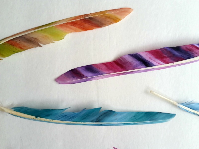 painted feathers close up