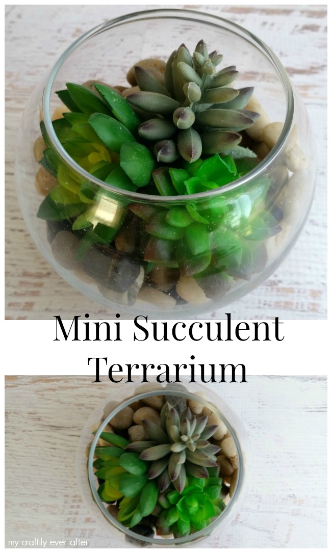 diy mini succulent terrarium