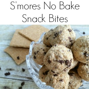 s'mores_snack_bites